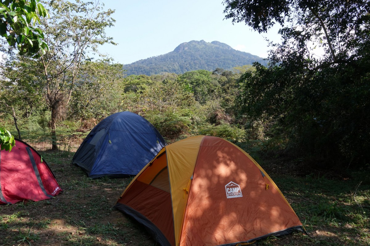 Udzungwa Trekking, Camping, Mwanihana Peak