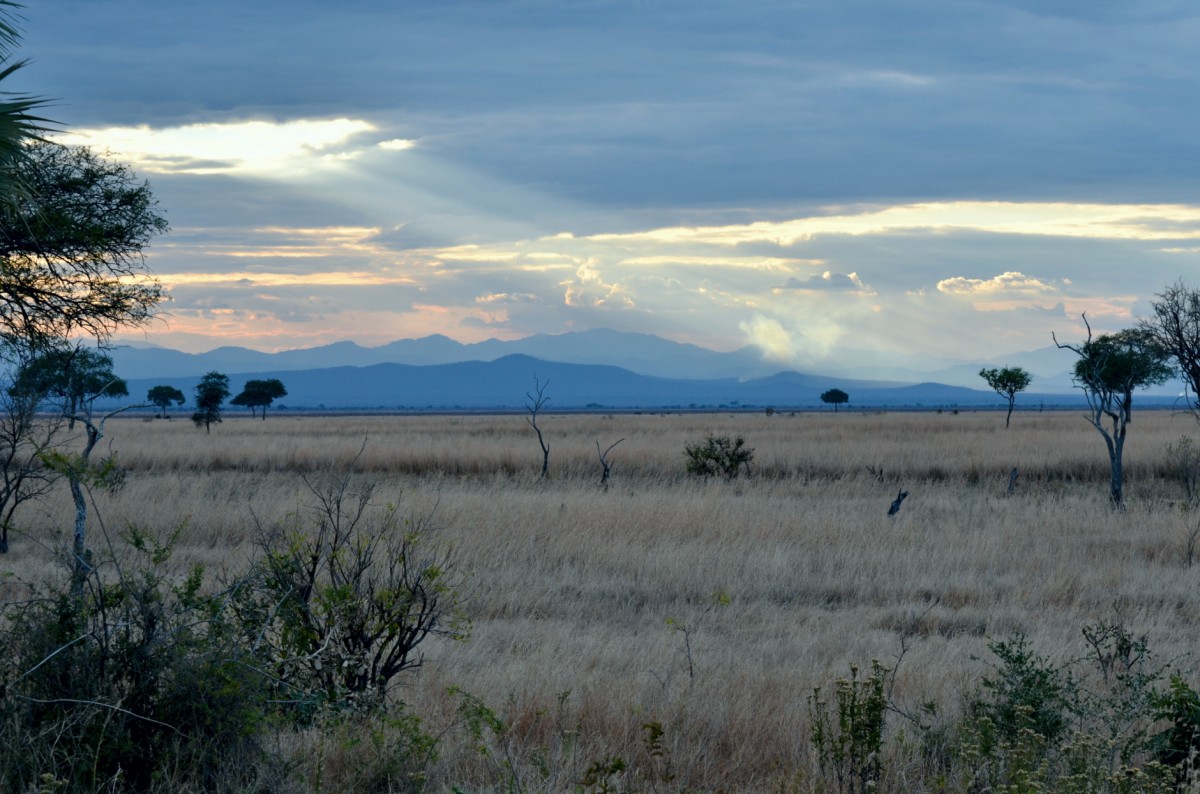Kleine Serengeti, Schwemmebene des Mikumi Nationalparks