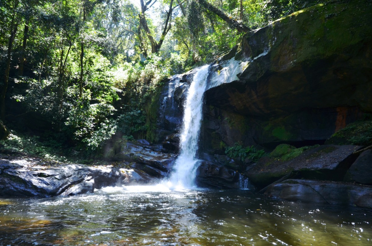 Sanje Wasserfall, Wasserbecken, Udzungwa Nationalpark