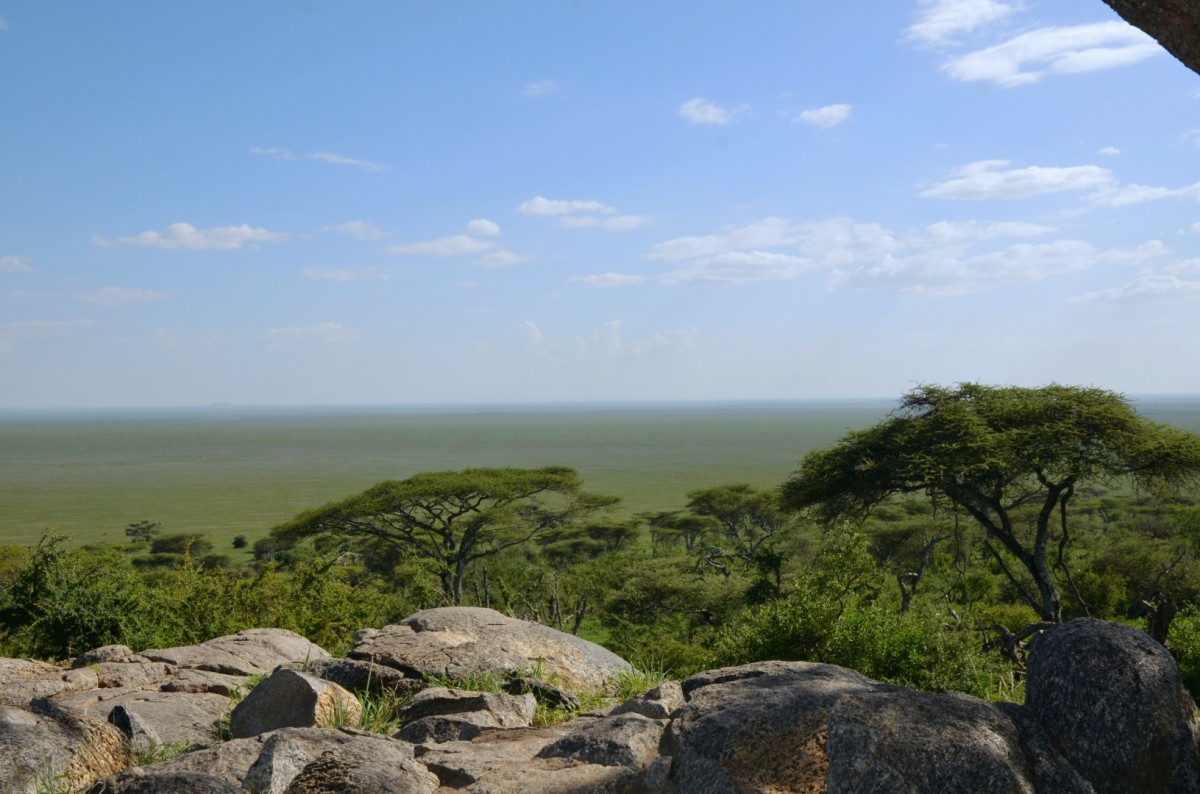 Blick auf Ebene der Serengeti